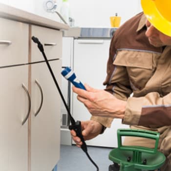 Aristo Pest Control