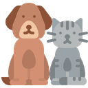 Pets